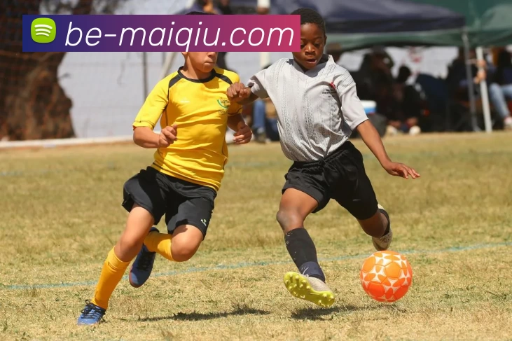 体育投注平台发展历程